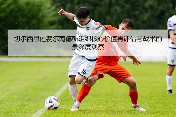 切尔西恩佐费尔南德斯组织核心价值再评估与战术前景深度观察